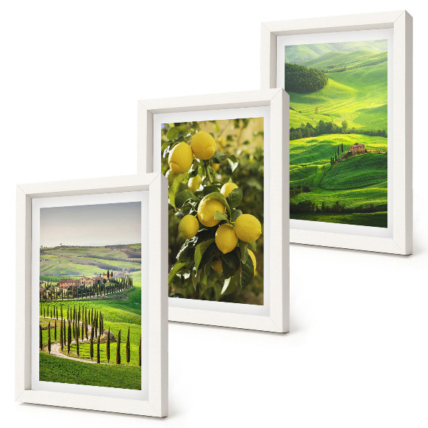 Set 3 tablouri Peisaje italiene cu citrice și dealuri verzi