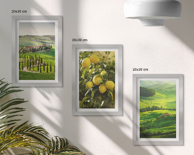 Set 3 tablouri Peisaje italiene cu citrice și dealuri verzi