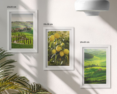 Set 3 tablouri Peisaje italiene cu citrice și dealuri verzi