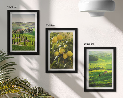 Set 3 tablouri Peisaje italiene cu citrice și dealuri verzi