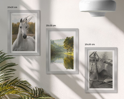 Set 3 tablouri Cai albi lângă peisajul natural al râului