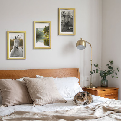 Set 3 tablouri Cai albi lângă peisajul natural al râului