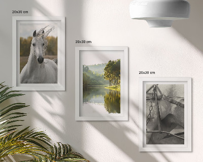Set 3 tablouri Cai albi lângă peisajul natural al râului