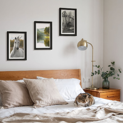Set 3 tablouri Cai albi lângă peisajul natural al râului
