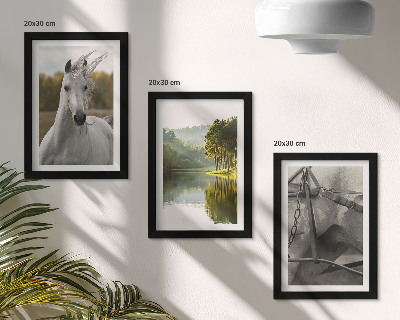 Set 3 tablouri Cai albi lângă peisajul natural al râului