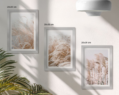 Set 3 tablouri Câmpuri de iarbă în nuanțe delicate de maro și bej