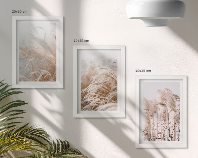 Set 3 tablouri Câmpuri de iarbă în nuanțe delicate de maro și bej