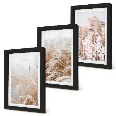 Set 3 tablouri Câmpuri de iarbă în nuanțe delicate de maro și bej