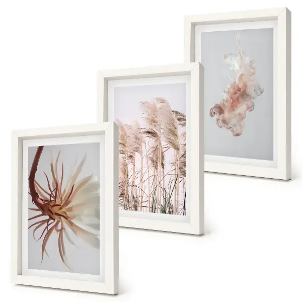 Galerie de perete cu flori set armonios cu plante pe fundal deschis