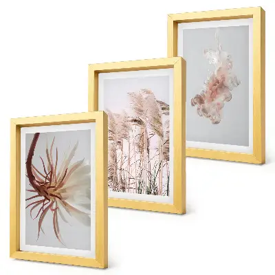 Galerie de perete cu flori set armonios cu plante pe fundal deschis