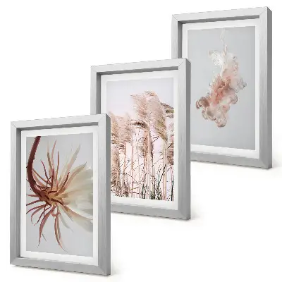Galerie de perete cu flori set armonios cu plante pe fundal deschis