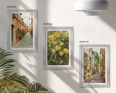 Galerie de perete cu străzi fermecătoare decorate cu flori și lămâi