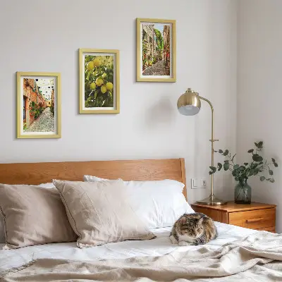 Galerie de perete cu străzi fermecătoare decorate cu flori și lămâi