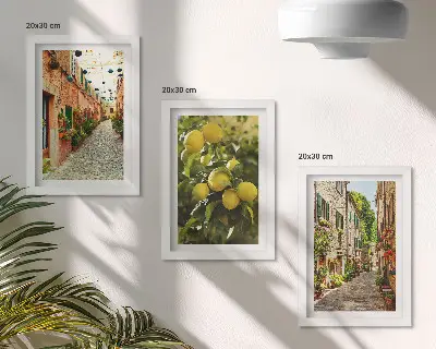Galerie de perete cu străzi fermecătoare decorate cu flori și lămâi
