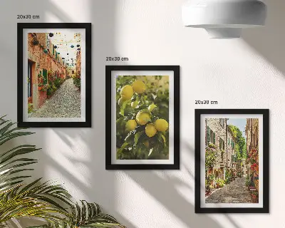 Galerie de perete cu străzi fermecătoare decorate cu flori și lămâi