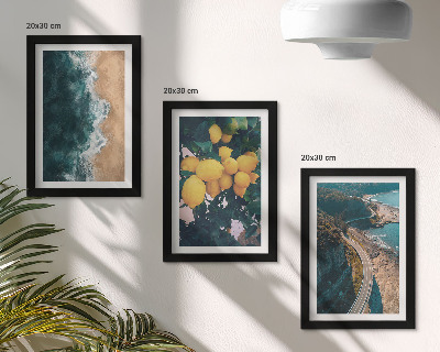 Galerie de perete plajă mare lămâi peisaj montan drum de coastă