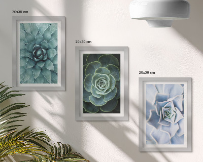 Set 3 tablouri Plante suculente în nuanțe de verde și turcoaz