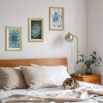 Set 3 tablouri Plante suculente în nuanțe de verde și turcoaz