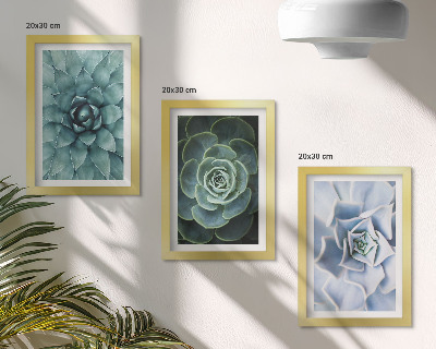 Set 3 tablouri Plante suculente în nuanțe de verde și turcoaz