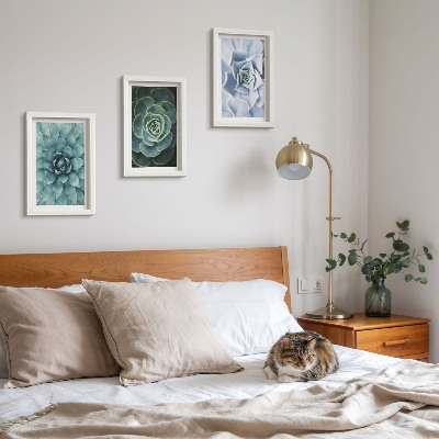 Set 3 tablouri Plante suculente în nuanțe de verde și turcoaz