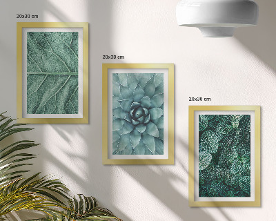 Galerie de perete Prim-planuri ale plantelor și frunzelor suculente