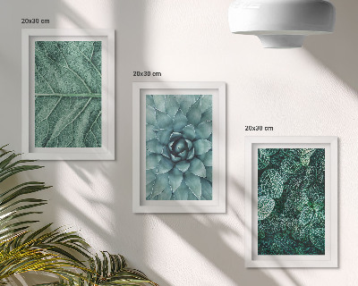 Galerie de perete Prim-planuri ale plantelor și frunzelor suculente