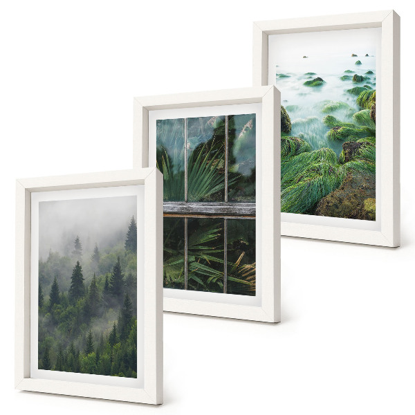 Set 3 tablouri O pădure în ceață, malul unui râu și o seră cu plante