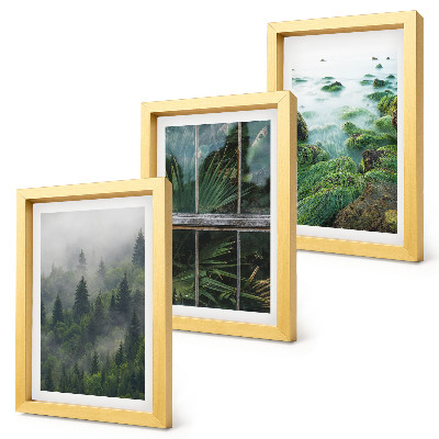Set 3 tablouri O pădure în ceață, malul unui râu și o seră cu plante