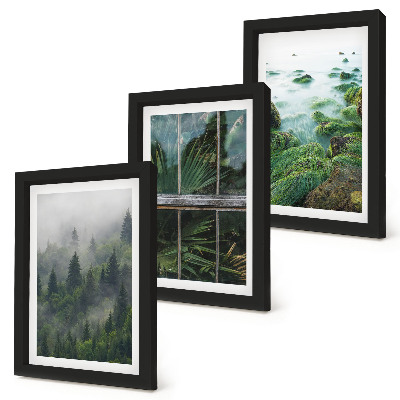 Set 3 tablouri O pădure în ceață, malul unui râu și o seră cu plante