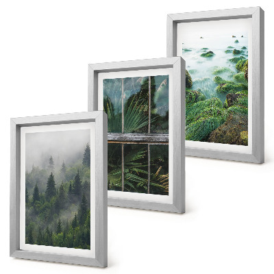 Set 3 tablouri O pădure în ceață, malul unui râu și o seră cu plante