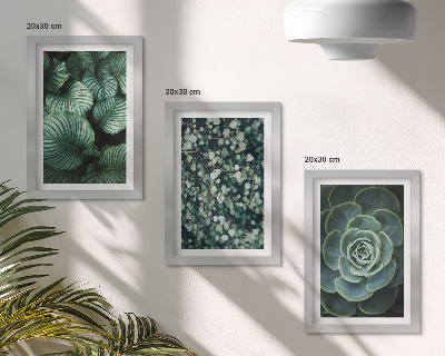 Set 3 tablouri Plante cu frunze verzi și suculente elegante