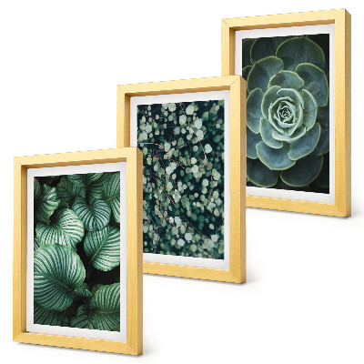 Set 3 tablouri Plante cu frunze verzi și suculente elegante