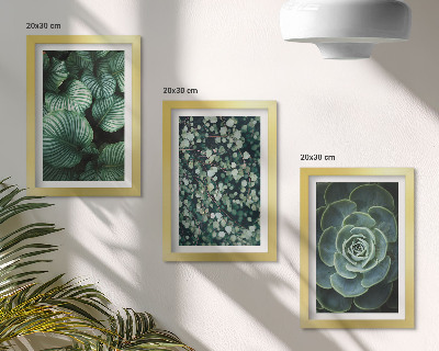 Set 3 tablouri Plante cu frunze verzi și suculente elegante