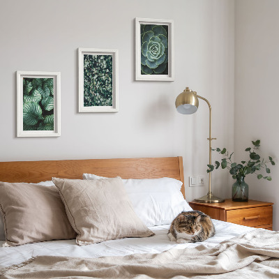 Set 3 tablouri Plante cu frunze verzi și suculente elegante