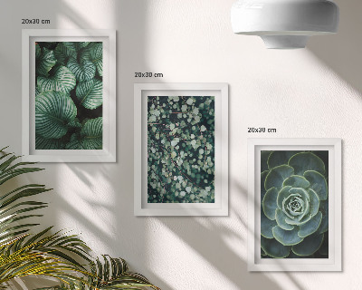 Set 3 tablouri Plante cu frunze verzi și suculente elegante