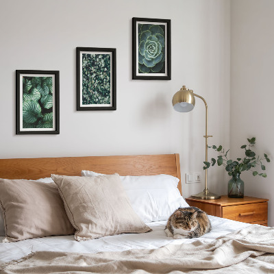 Set 3 tablouri Plante cu frunze verzi și suculente elegante