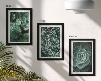 Set 3 tablouri Plante cu frunze verzi și suculente elegante
