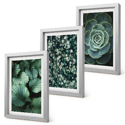 Set 3 tablouri Plante cu frunze verzi și suculente elegante