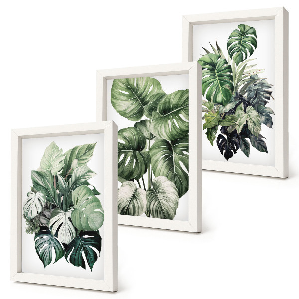 Set 3 tablouri Acuarele cu frunze verzi de plante tropicale