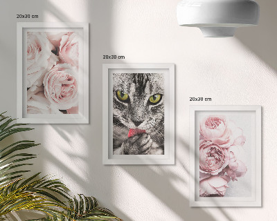 Galerie de perete O pisică printre flori roz de trandafiri și bujori
