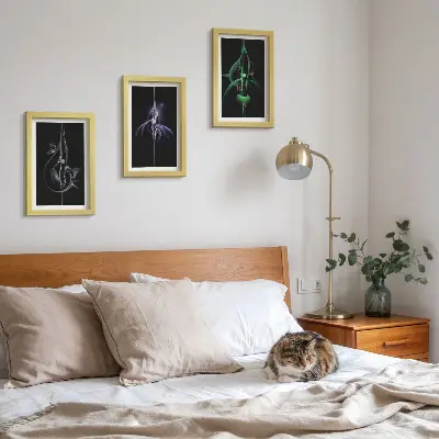 Set 3 tablouri cu modele abstracte în nuanțe de negru și culoare