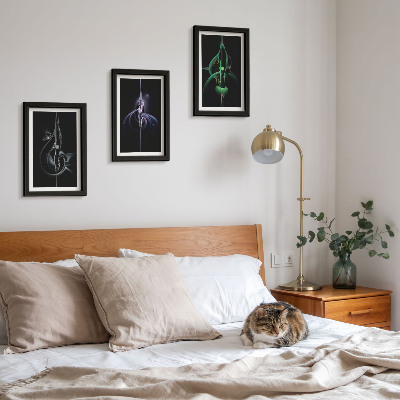 Set 3 tablouri Modele abstracte în nuanțe de negru și culoare
