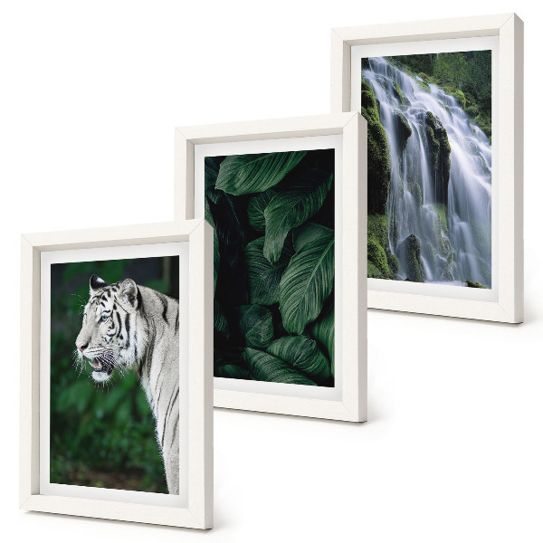 Set 3 tablouri Frunze de tigru alb și cascadă în cadru natural