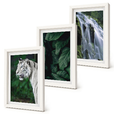 Set 3 tablouri Frunze de tigru alb și cascadă în cadru natural