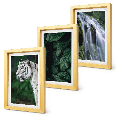 Set 3 tablouri Frunze de tigru alb și cascadă în cadru natural