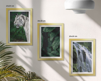 Set 3 tablouri Frunze de tigru alb și cascadă în cadru natural
