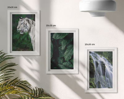 Set 3 tablouri Frunze de tigru alb și cascadă în cadru natural