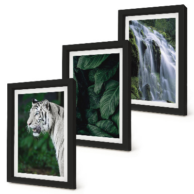 Set 3 tablouri Frunze de tigru alb și cascadă în cadru natural