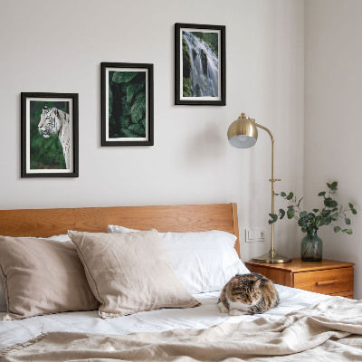 Set 3 tablouri Frunze de tigru alb și cascadă în cadru natural