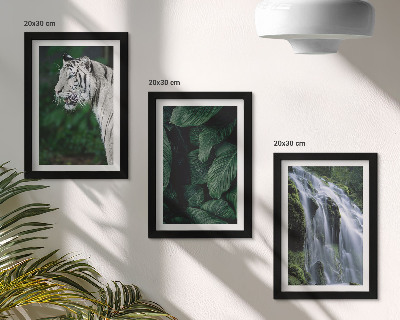 Set 3 tablouri Frunze de tigru alb și cascadă în cadru natural